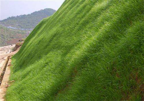 長(zhǎng)沙東日?qǐng)@林工程有限公司,長(zhǎng)沙園林綠化工程,長(zhǎng)沙綠化養(yǎng)護(hù)管理 長(zhǎng)沙東日?qǐng)@林工程有限公司,長(zhǎng)沙園林綠化工程,長(zhǎng)沙綠化養(yǎng)護(hù)管理