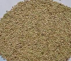 長(zhǎng)沙東日?qǐng)@林工程有限公司,長(zhǎng)沙園林綠化工程,長(zhǎng)沙綠化養(yǎng)護(hù)管理 長(zhǎng)沙東日?qǐng)@林工程有限公司,長(zhǎng)沙園林綠化工程,長(zhǎng)沙綠化養(yǎng)護(hù)管理