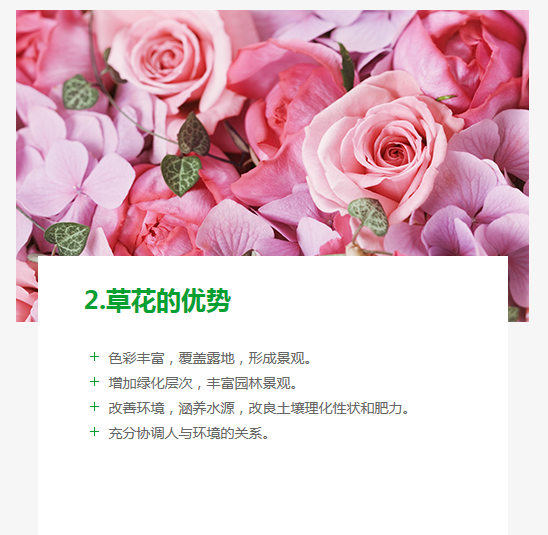 長(zhǎng)沙東日?qǐng)@林工程有限公司,長(zhǎng)沙園林綠化工程,長(zhǎng)沙綠化養(yǎng)護(hù)管理 長(zhǎng)沙東日?qǐng)@林工程有限公司,長(zhǎng)沙園林綠化工程,長(zhǎng)沙綠化養(yǎng)護(hù)管理