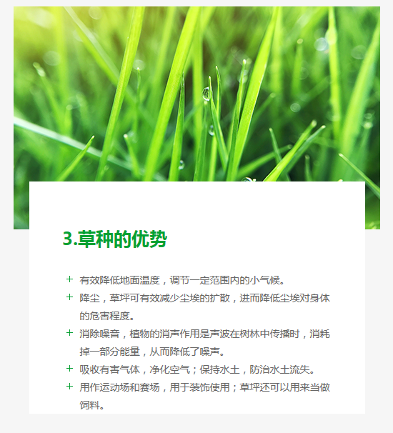 長(zhǎng)沙東日?qǐng)@林工程有限公司,長(zhǎng)沙園林綠化工程,長(zhǎng)沙綠化養(yǎng)護(hù)管理 長(zhǎng)沙東日?qǐng)@林工程有限公司,長(zhǎng)沙園林綠化工程,長(zhǎng)沙綠化養(yǎng)護(hù)管理